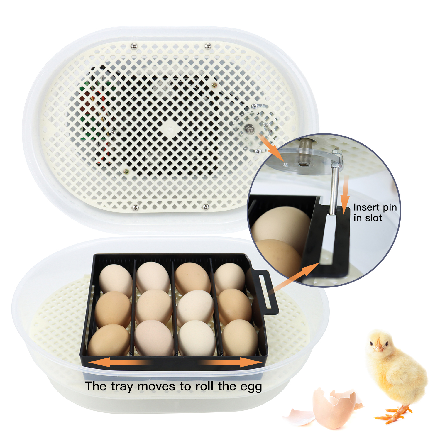 Small Cute Quail Chicken Egg Incubator 12 Eggs Automatic Hatcher from China manufacturer Janoel